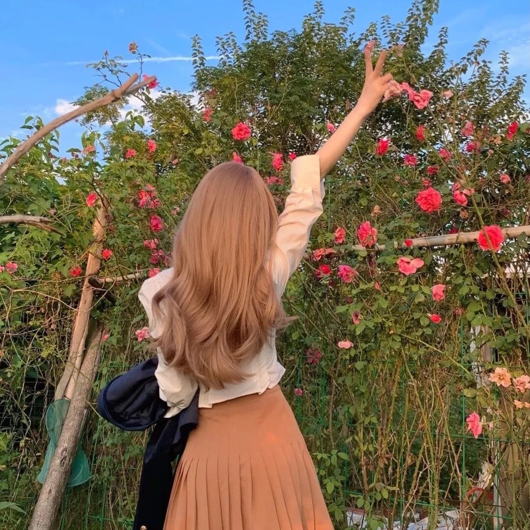 苦茶香